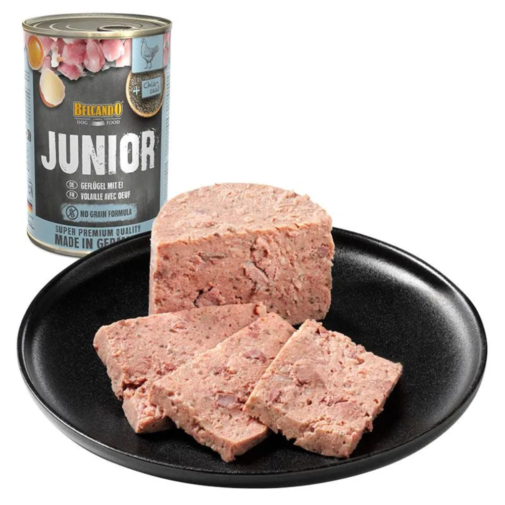 BELCANDO-JUNIOR-INSIDE