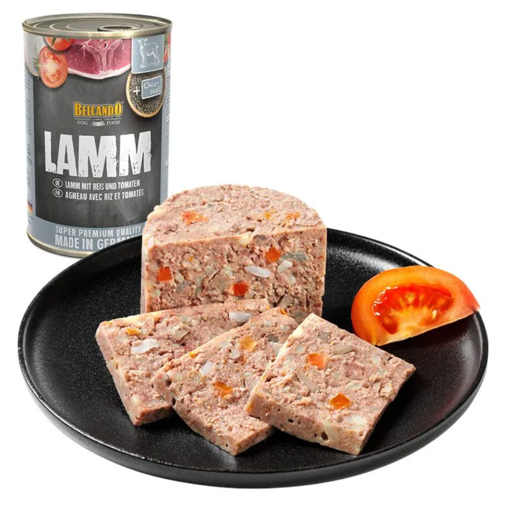 BELCANDO-LAMM-INSIDE