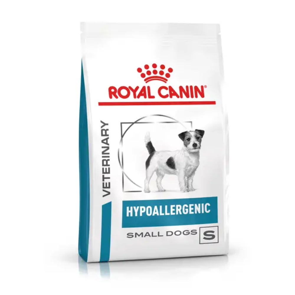 HYPOALLERGENIC SMALL DOG