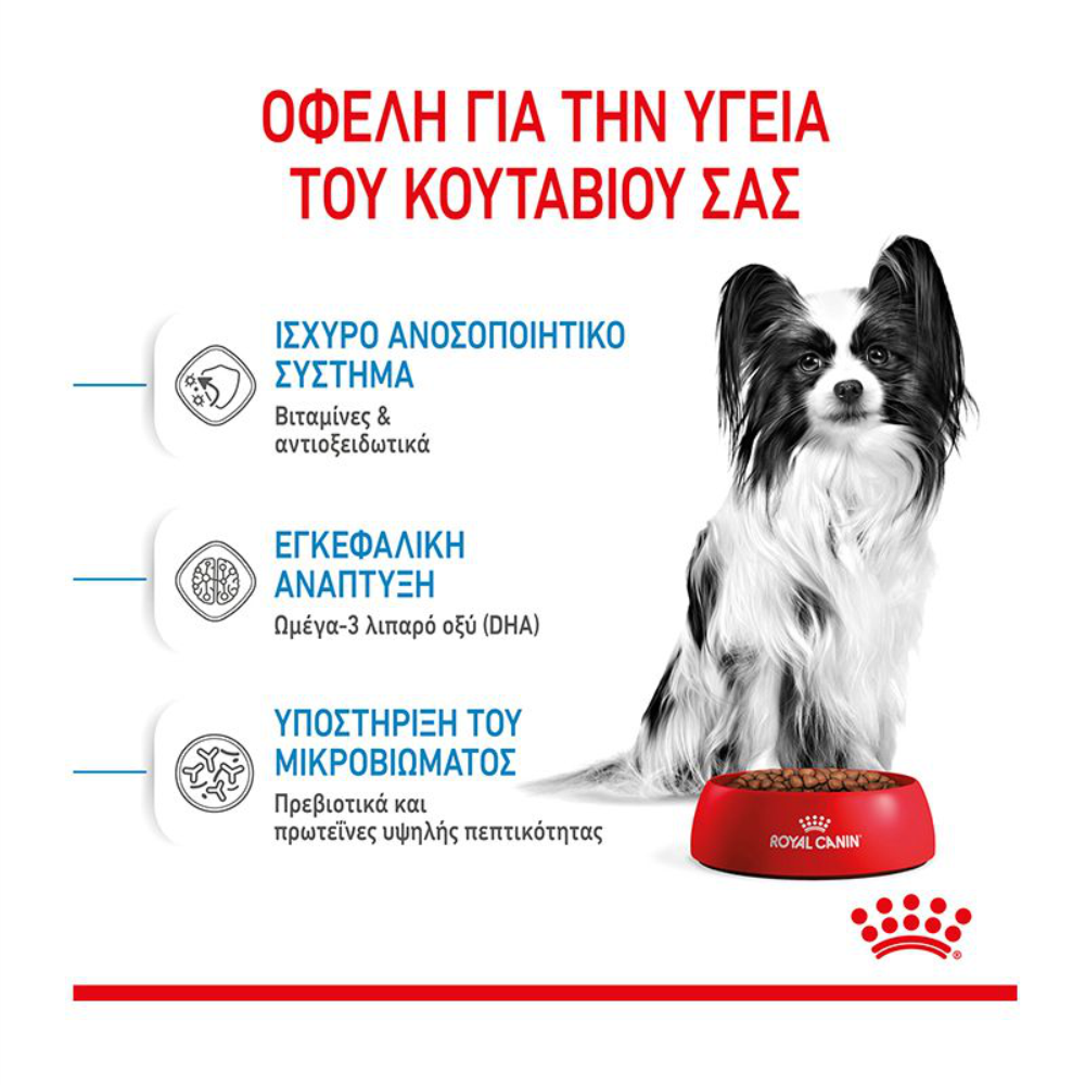 ROYAL-CANIN-XS-PUPPY-3