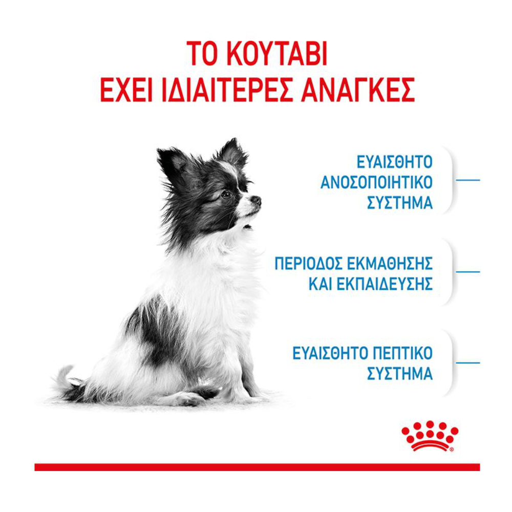 ROYAL-CANIN-XS-PUPPY-4