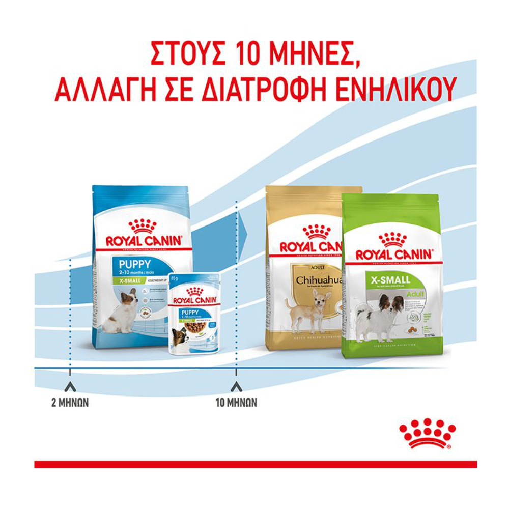 ROYAL-CANIN-XS-PUPPY-5