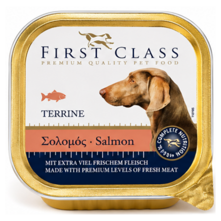 First Class Dog Σολομός