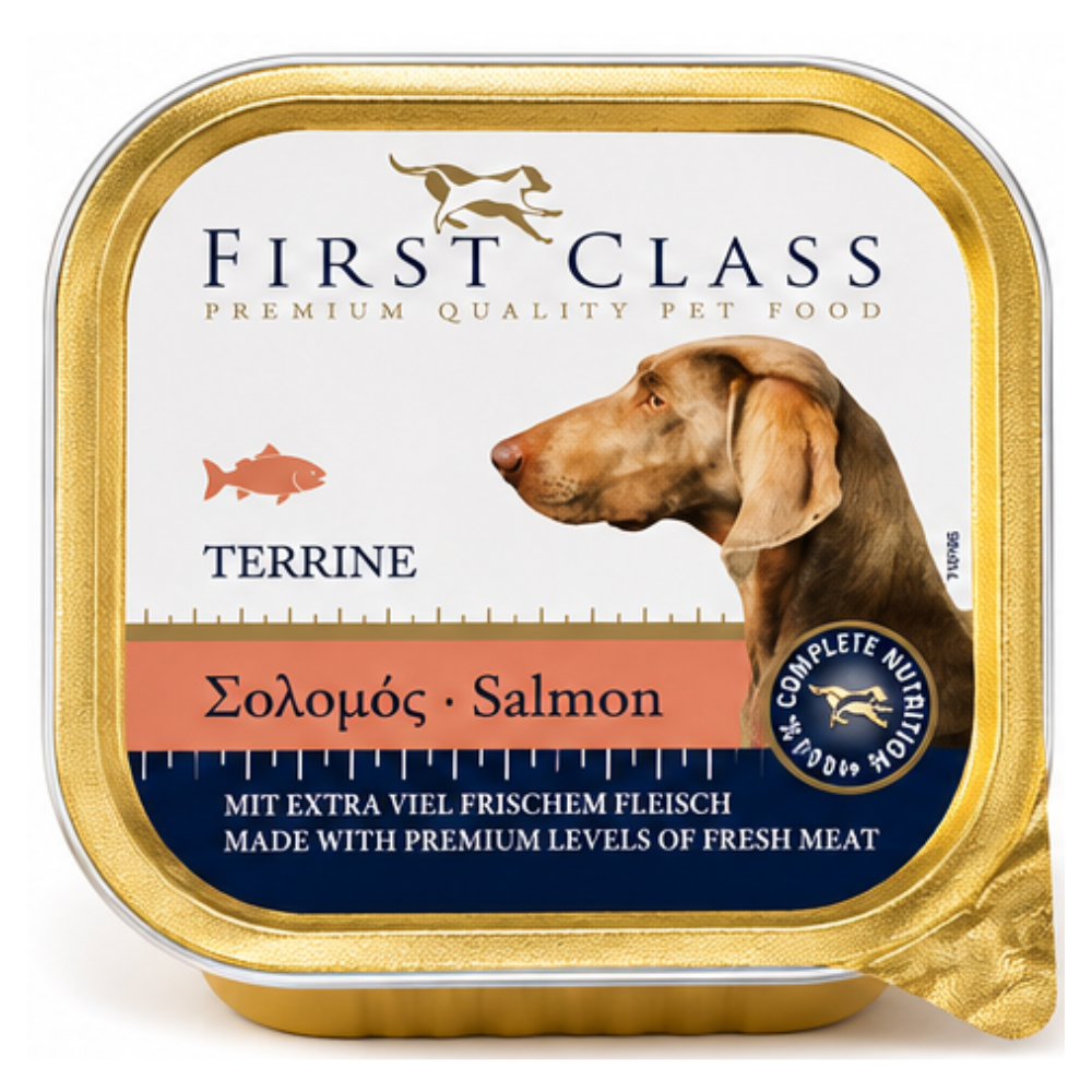 first-class-salmon-01