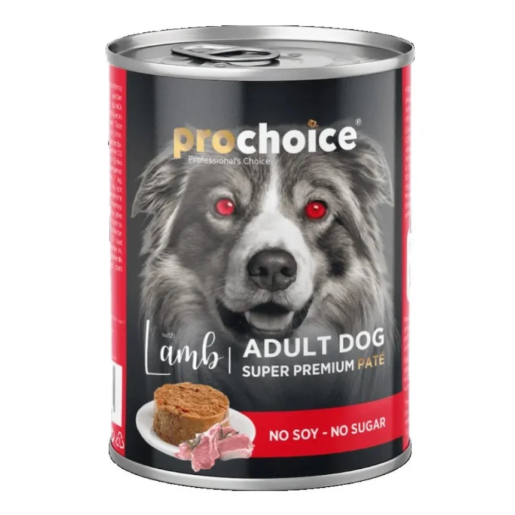 prochoice-lamb-01