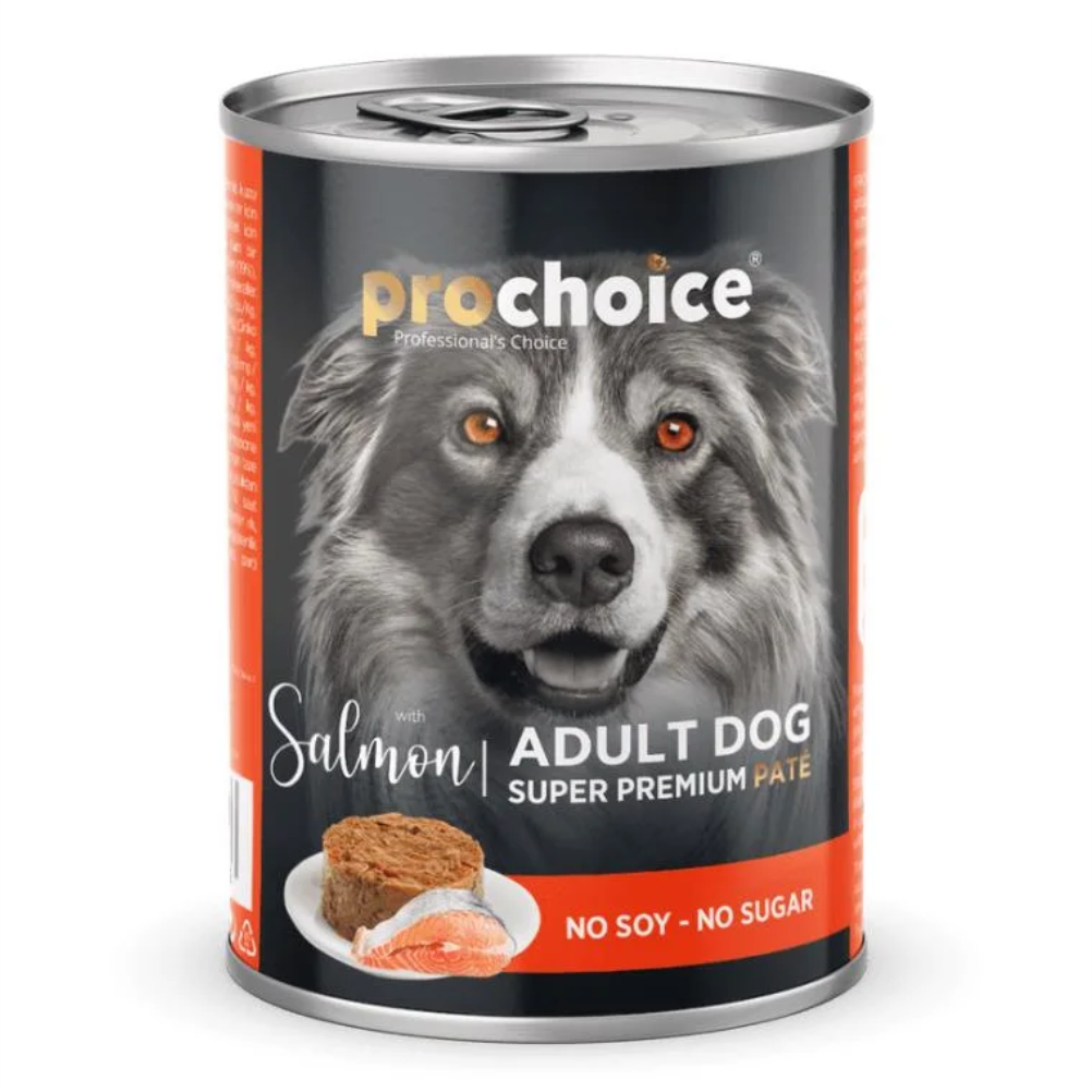 prochoice-salmon-01